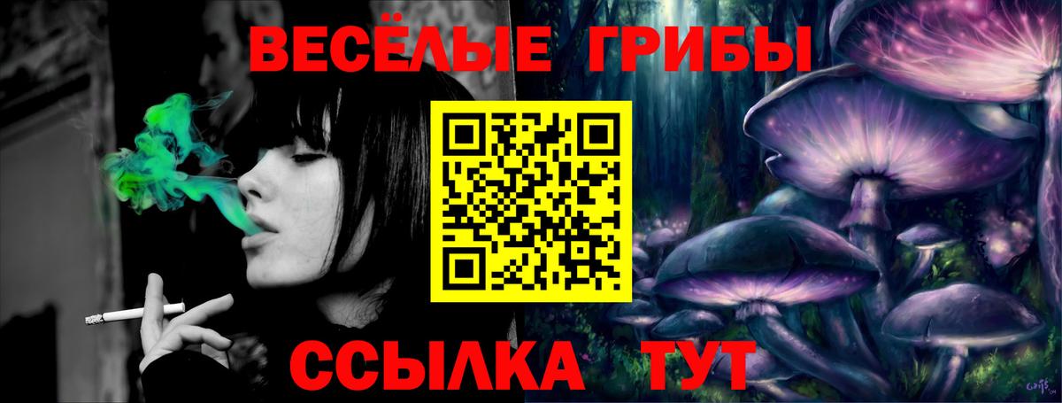 продажа наркотиков  Галлюциногенные грибы Cubensis  Вход с VPN  Бирск 